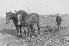 Knecht-Rudolf-Traupe