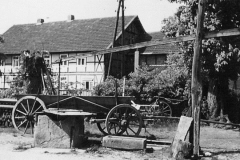 Ziehbrunnen-mit-versenkter-katze