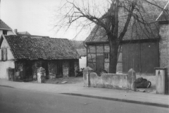 Zur_Jürges_2_Lücke