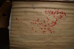 Flurgemarkung Sandkamp ca 1965