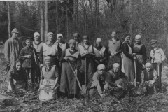 Bäumepflanzen-Klieversberg_Lücke