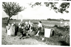 Ernte-bei-Tappenbeck2