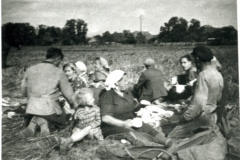 Ernte-bei-Tappenbeck3