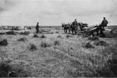 Erste_Selbstbinder_Schönijahn