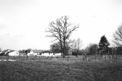 Neue-Siedlung_Lücke