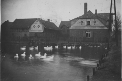 Bild_5_Dorfteich-genannt-Klunschkuhle