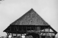 Schreinecke-wird-Mielke-1