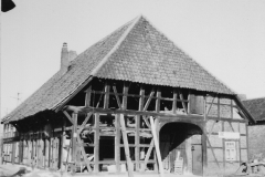 Schreinecke-wird-Mielke-3